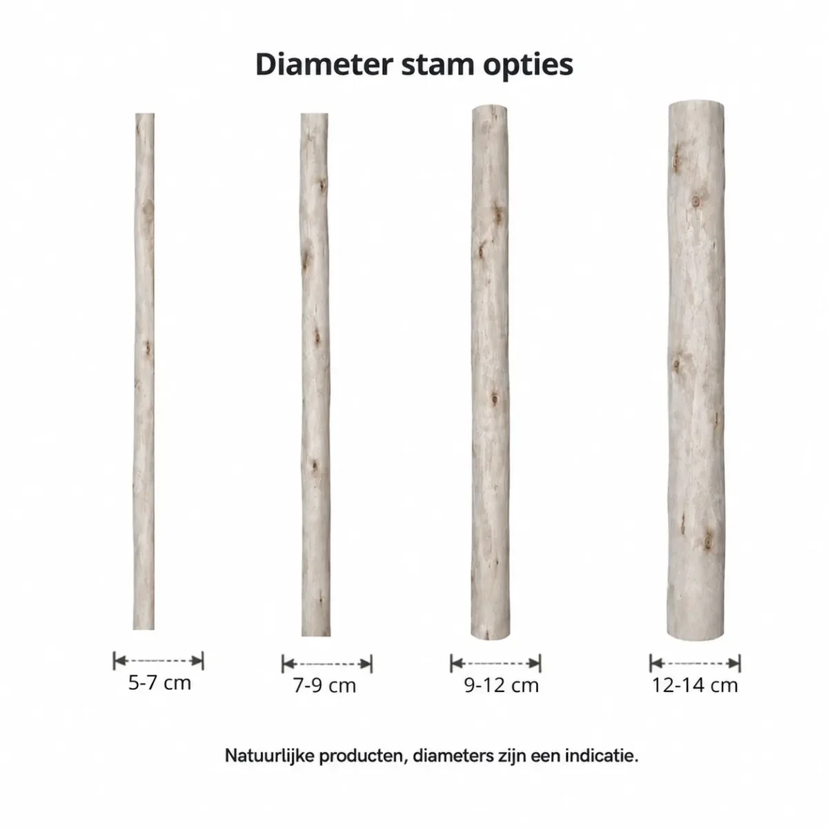 Ontschorste stam met oliebehandeling naar keuze | 200 cm | Diverse diameters – Bild 8